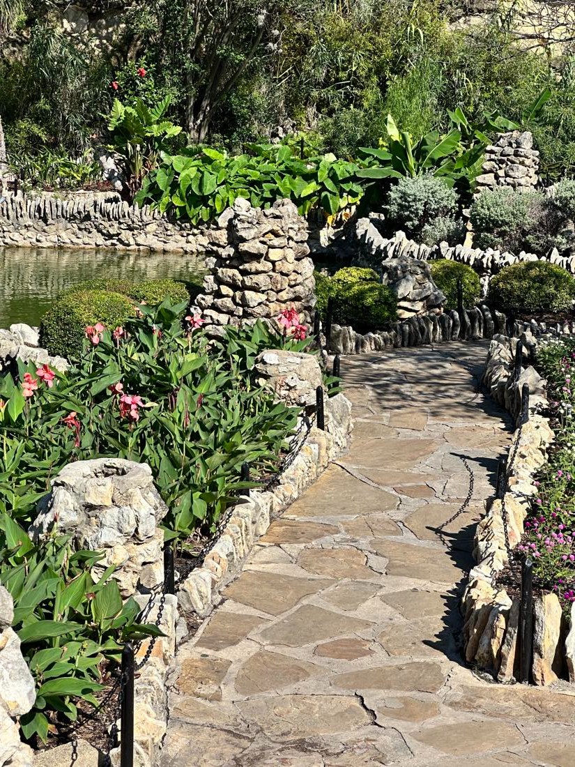 A winding stone path through a garden, lined with blooming canna lilies